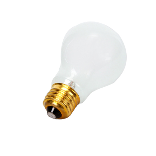 LIGHT BULB 100W VCS HOOD
